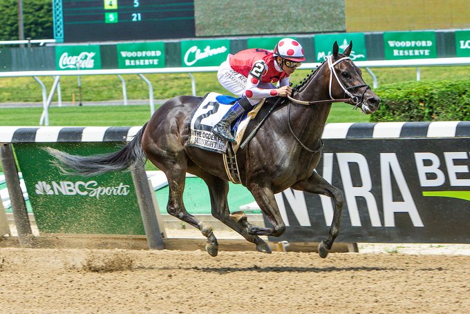 Big Sporting Events The Breeders Cup Sports Champion Predictor